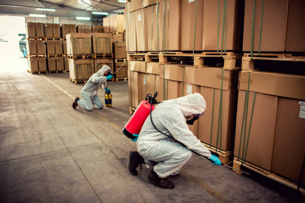 Best Wasp Removal Services  in Mansfield, AR