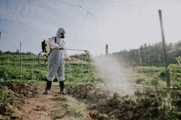 Best Best Pest Control Companies  in Mansfield, AR