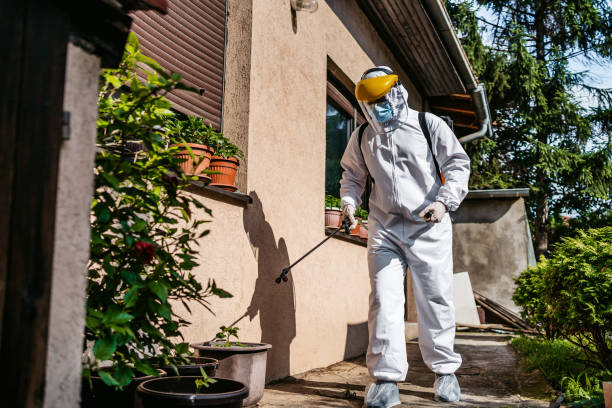 Best Spider Control Near Me  in Mansfield, AR