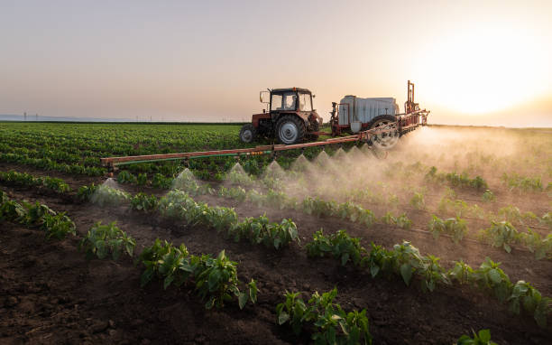 Best Mosquito Control Services  in Mansfield, AR