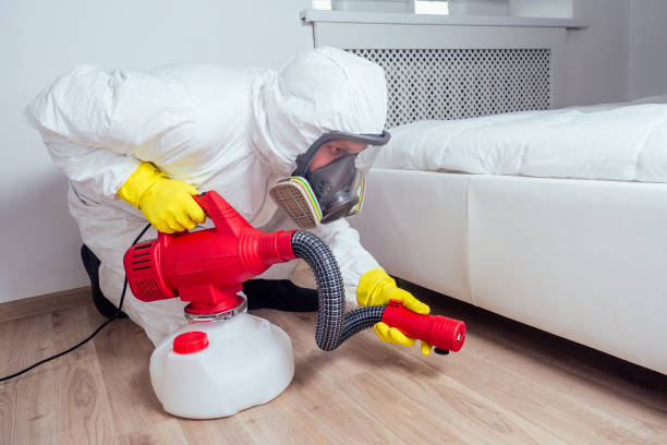 Professional Pest Control in Mansfield, AR
