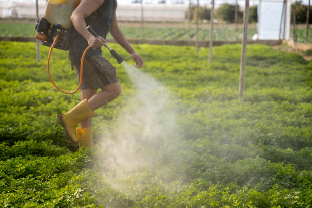 Best Affordable Pest Control Services  in Mansfield, AR