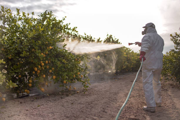 Best Pest Removal Services  in Mansfield, AR
