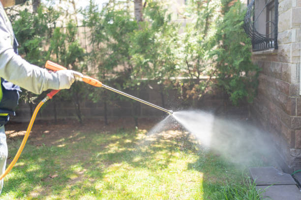 Best Spider Control Near Me  in Mansfield, AR